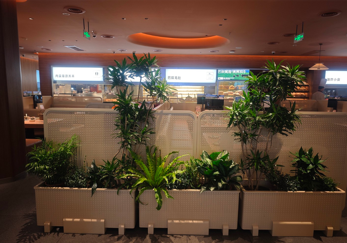 海晨科技：智能合规双驱动，连锁店门头招牌发光字定制新标杆